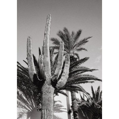 1 Piece Wrapped Canvas Wall Art