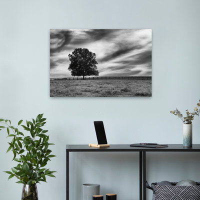 Contemporary Majestic Crop