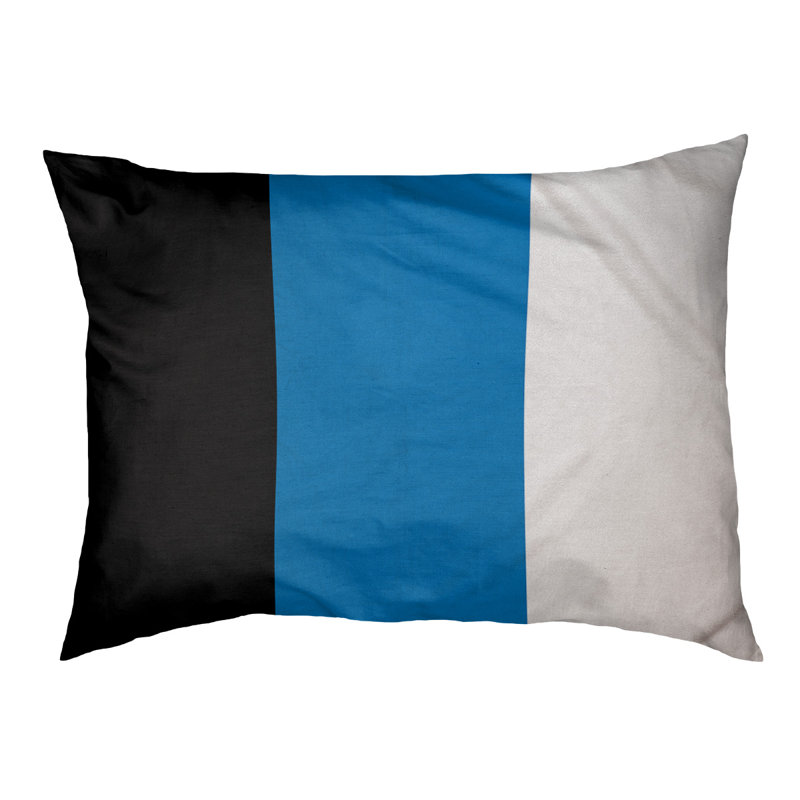 Coussin Designer, Moyen (L 18 po x l 28 po), Noir / bleu / blanc