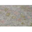 Shamas Floral Area Rug in Gray/Green/Pink/Blue
