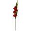 Aneris Arrangement