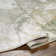 San Francisco SFO-2316 Area Rug
