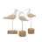 Oswestry Polystone Bird Decorative White Sculpture Set