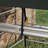 12' X 12' Livestock Corral Shelter with Steel Frame and UV-Resistant Cover-128614622