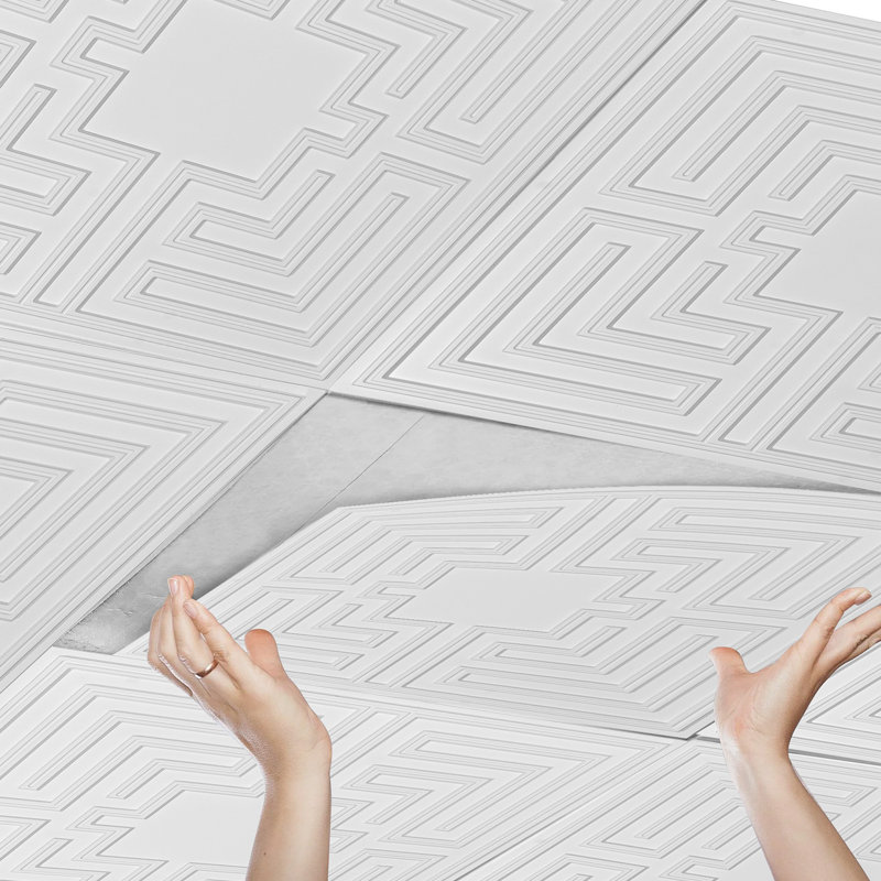 Ceiling Tiles 12-Pack 24 x 24 in PVC Easy Installation White Echo Pattern