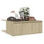 Allesandro Solid Coffee Table with Storage-819067834
