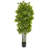 Bamboo Artificial Tree with Black Trunks UV Resistant (Indoor/Outdoor)-854870655