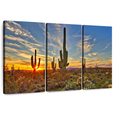 Alvord Sonoran Desert Saguaro Cactus