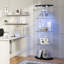 Display Cabinet-281908177