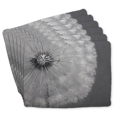 Braided Polyester Bonniview Set of 6 - Dandelion Puff Ball Decor