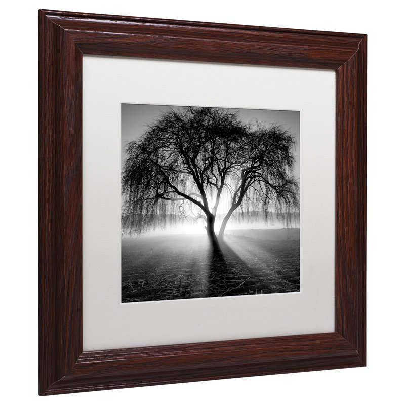 " Lightning Tree I " by Moises Levy, 11" H x 11" W x 0.5" D, Brown Framed