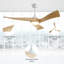 Desir 52cm Ceiling Fan with LED Lights-683541605