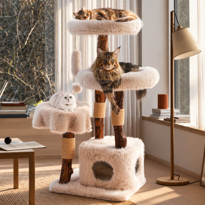 Arbre à chat en bois massif Artisan