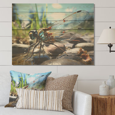 Blue Fluttering Dragonfly II - Dragonfly Animal On Wood Print