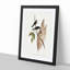 Tree Martins by Elizabeth Gould - Picture Frame Painting Print-55611581-55611583