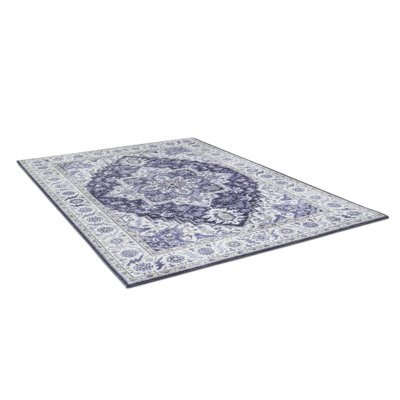 Bousquet Oriental Area Rug