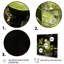 Mojito Meadows Cokctails - cocktails, art mural-1269639873