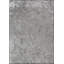 Rapture Area Rug in Gray-721630701