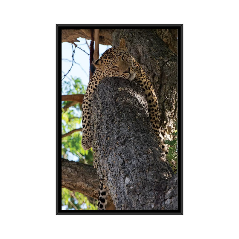 « sleep », reproduction de photo sur toile, H 26 po x l 18 po x P 1,5 po, Toile avec cadre flottant noir, Pas de tapis