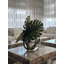 Monstera Leaves and Driftwood in Moon Vase