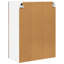 Vidaxl Hanging Cabinet With Storage Riga Artisan Oak 60 X 31 X 80 Cm-121217525-121217535