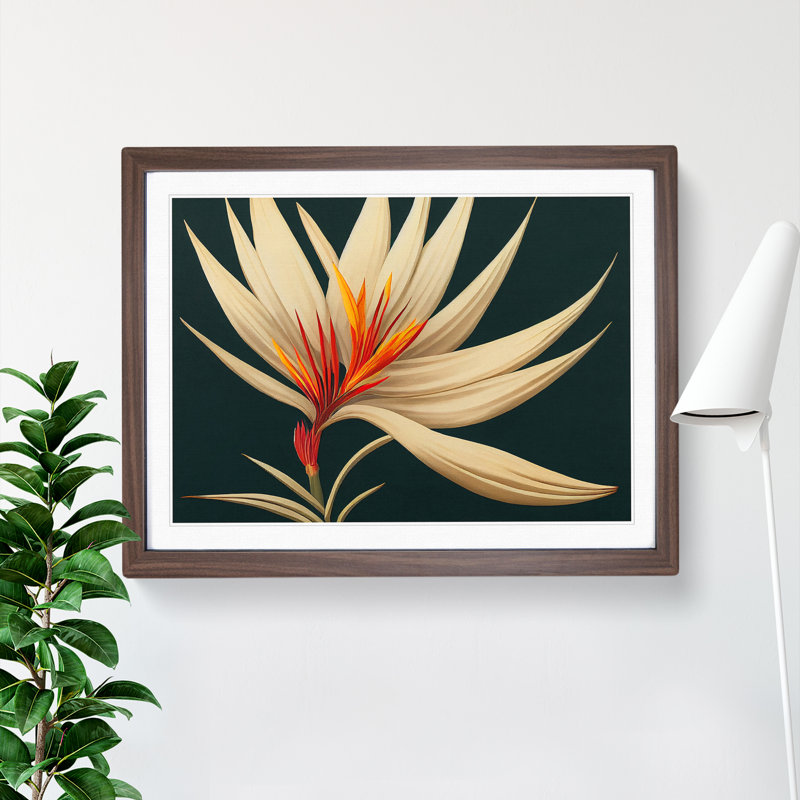 XH1022-8893X The Bird Of Paradise Flower Vol.4 - Single Picture Frame Print, 25cm H x 34cm W x 2cm D, Walnut Framed