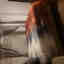 Photos des clients 2 de 2