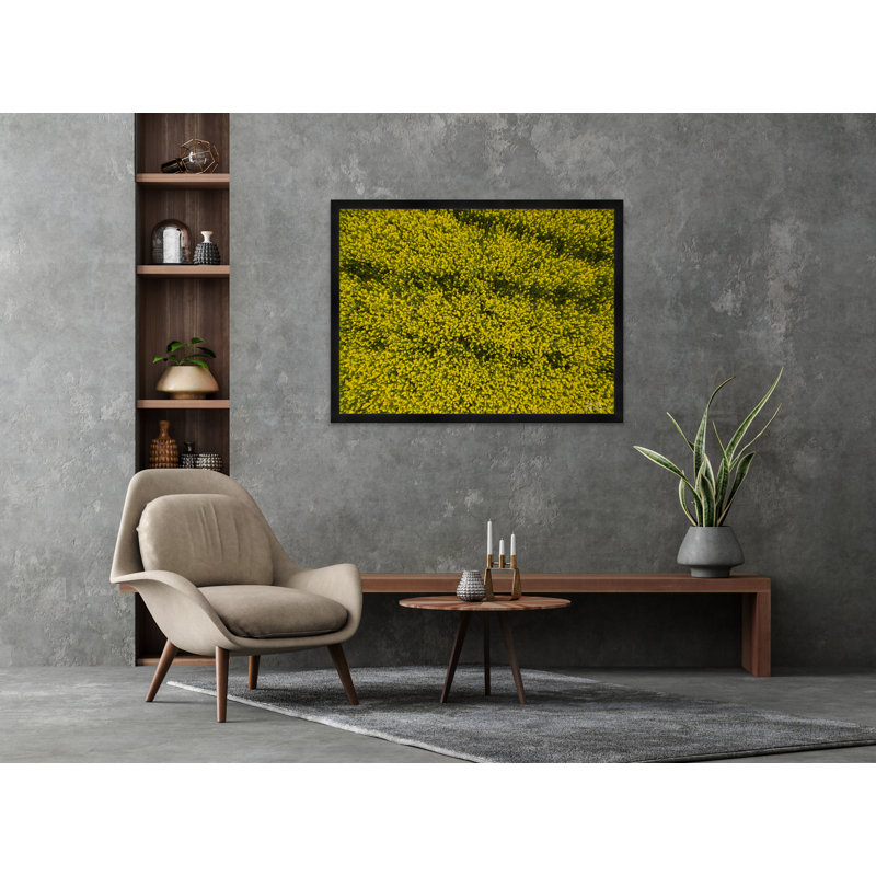 Fields Of Yellow Flowers II Print by Tim Klein