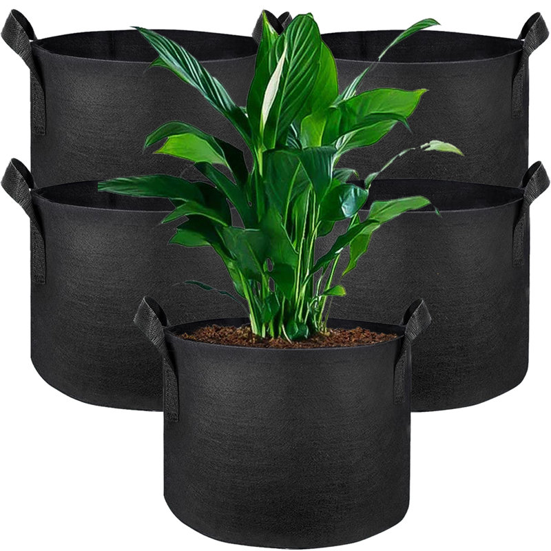 Tonecia Nursery Pot, 9.84" H x 11.81" W x 11.81" D
