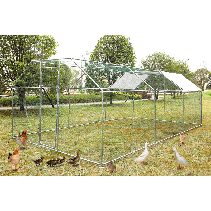 Chicken Run Coops With Climbing Pole