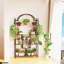 Mikkelsen Plant Stand