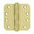 Unlacquered Brass