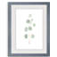 Douce branche d'eucalyptus II - Peinture encadrée sur papier-1547359568-1547359572
