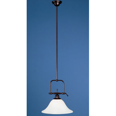 Luminaire suspendu réglable 15,5 po