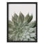 «Lush Green Succulent Botanical Nature Illustration Small Decor Art Work»-101376411-101376412