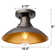 Ceiling Light Fixture