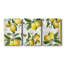 Lin citrons - Toile tendue avec châssis de qualité supérieure - Prêt à être accroché-1463725069
