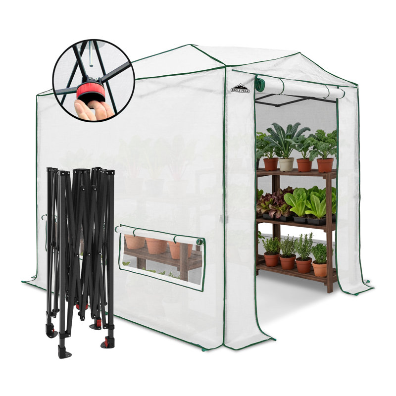 Pop Up Greenhouses 8' W x 6' D Hobby Greenhouse