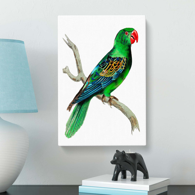 Great-billed Parrot by George Shaw - Wrapped Canvas, 60cm H x 40cm W x 3cm D
