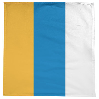 Basketball Tablecloth