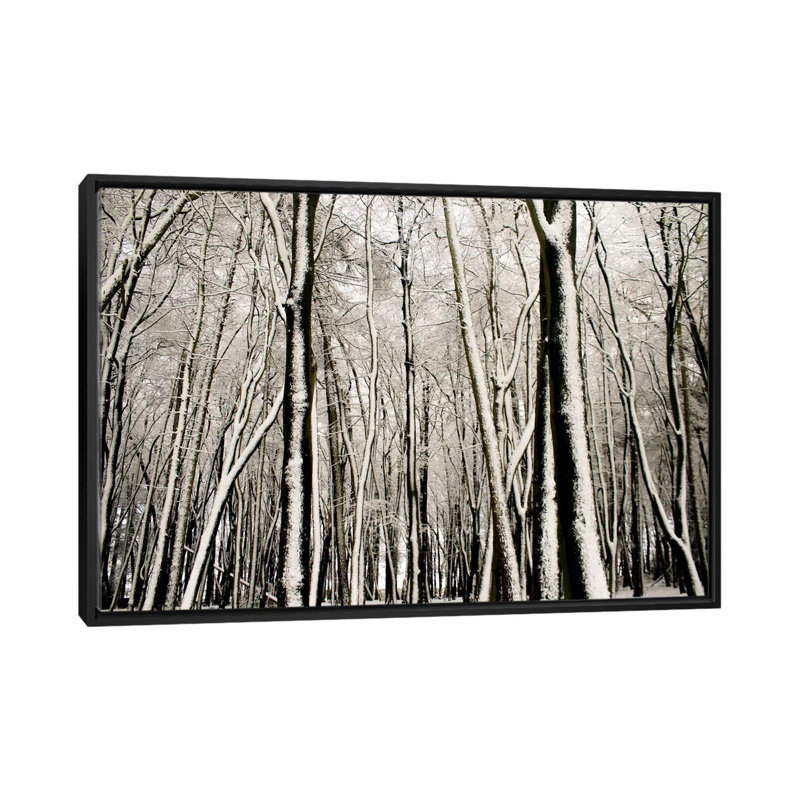 Neige couverte d'arbres, reproduction sur toile tendue, H 18 po x l 26 po x P 1,5 po, Toile avec cadre noir, Pas de tapis