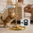 Modern 67" Glass Arc Floor Lamp With Remote Control, Bulb Included-1752775045