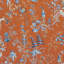 Oriana Nanjing 100% Cotton Fabric-24023581