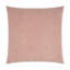 Poodle Pillow Cover & Insert-47369814-114599662
