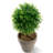 6.1'' Faux Foliage Topiary in Pot