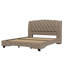 Upholstered Bed-388088378-388088376