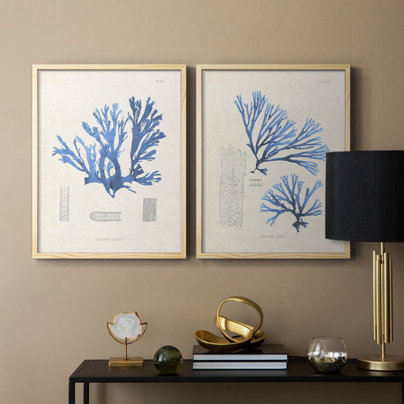 Algue bleue bleue - reproduction encadrée de qualité supérieure - prête à être accrochée - aucun clou requis - aucun clou requis