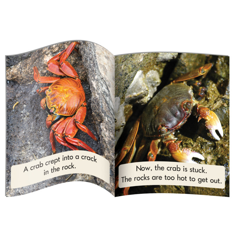 Blend Readers - Ensemble d'apprentissage de non-fiction