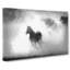 Horses In Abstract - Wrapped Canvas-55310551