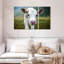 Petite vache-107965776